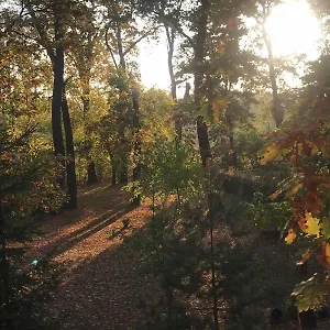 Di Olga Apartamento